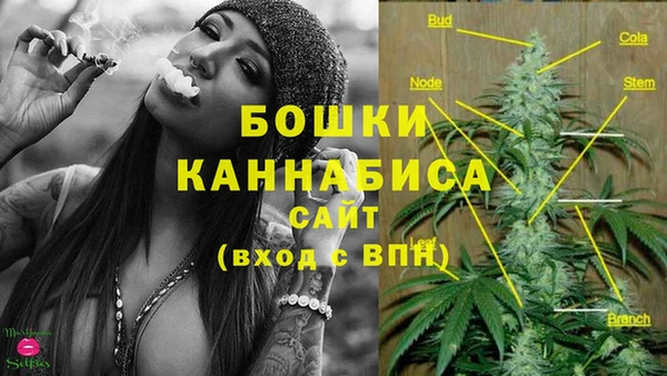 ALPHA-PVP Горнозаводск