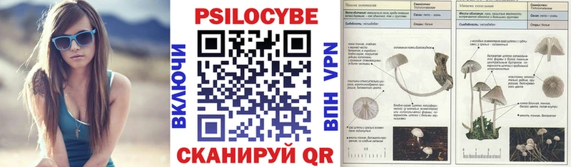 Псилоцибиновые грибы мухоморы где можно купить наркотик Муром